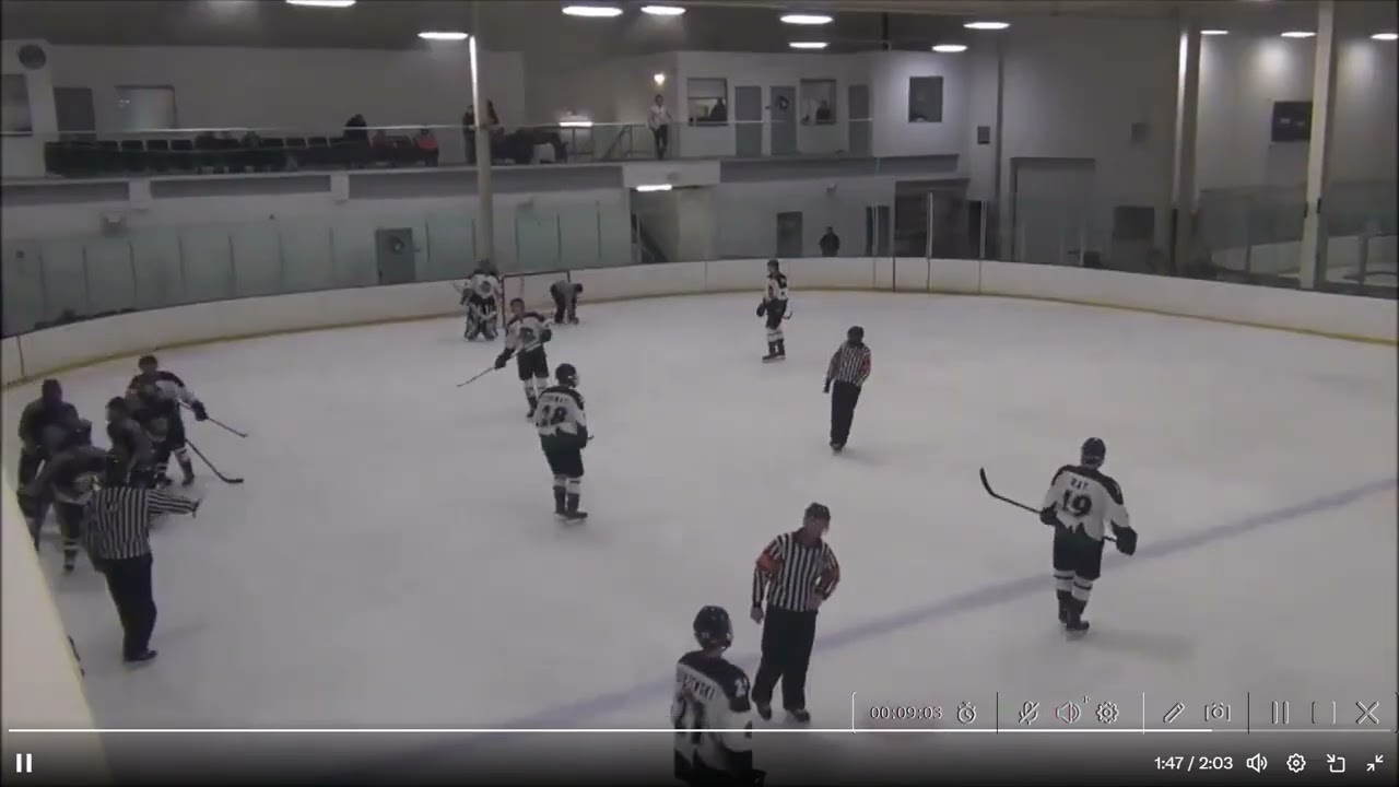 Hockey highlights from my Twitter page, 2018-2024 PART THREE