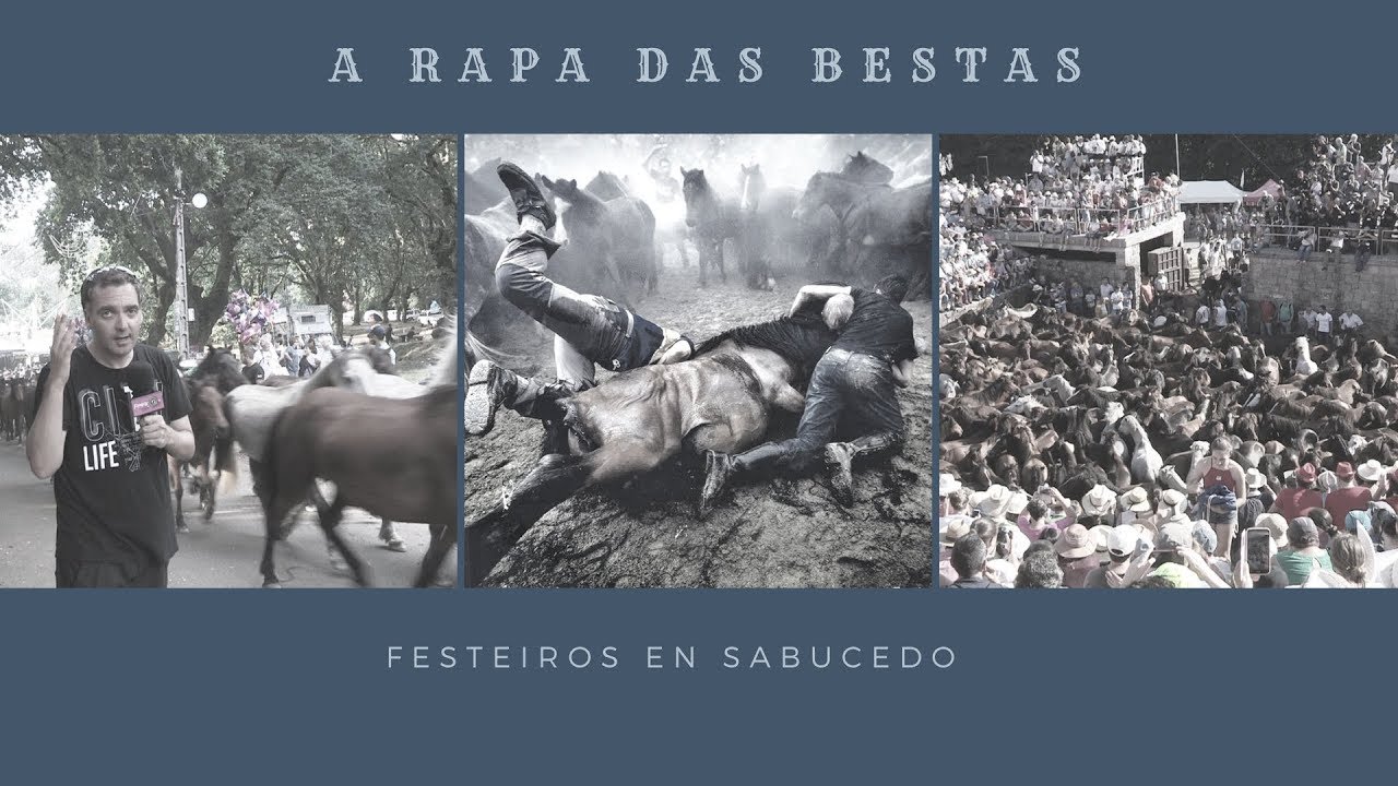 A Rapa Das Bestas de Sabucedo - Reportaje