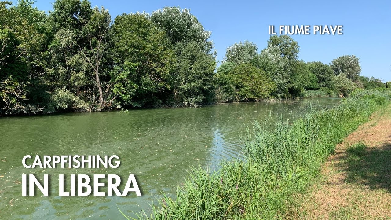Carpfishing in Libera: il Fiume Piave