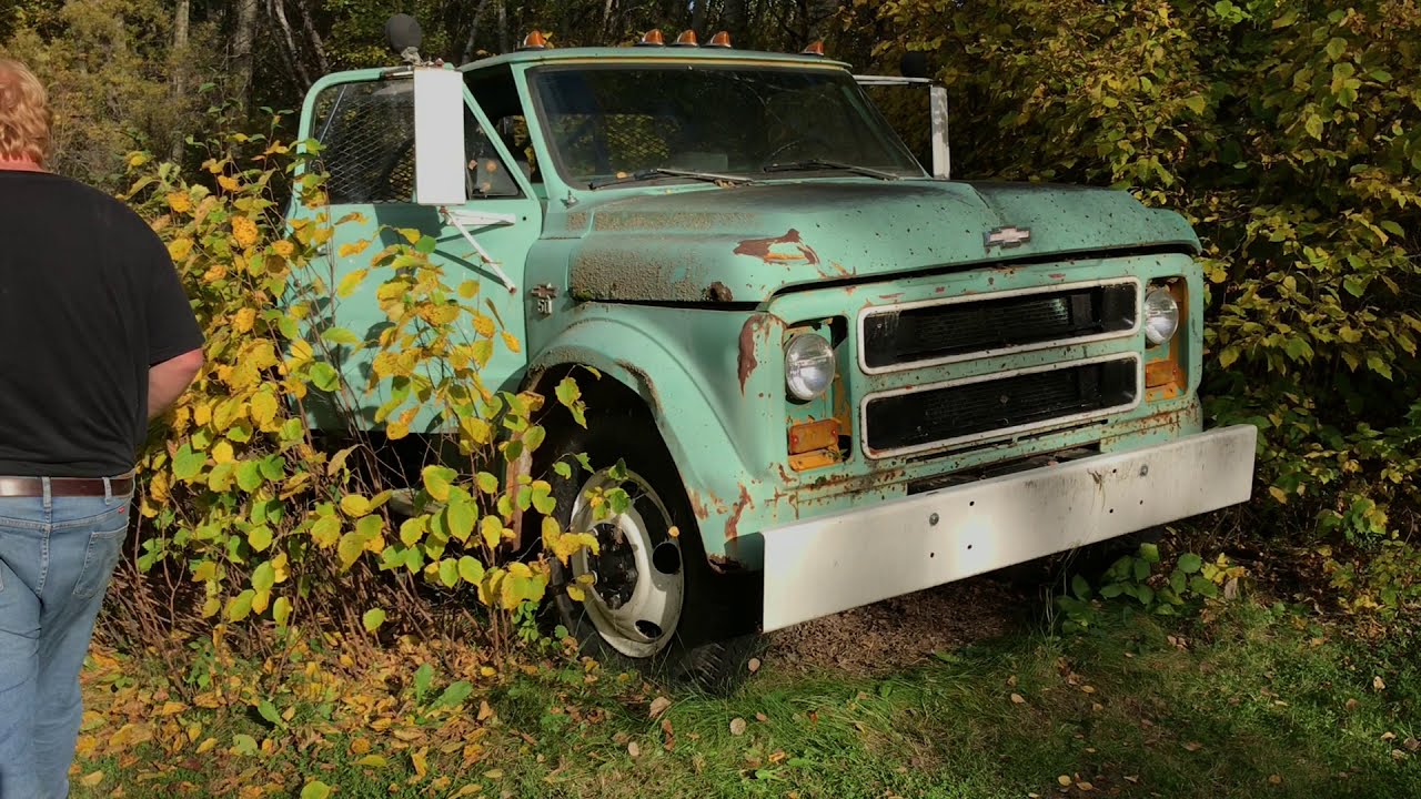 Получение информации о старом грузовике Chevy C50. Заведётся ли он? Купим ли мы его? #c50