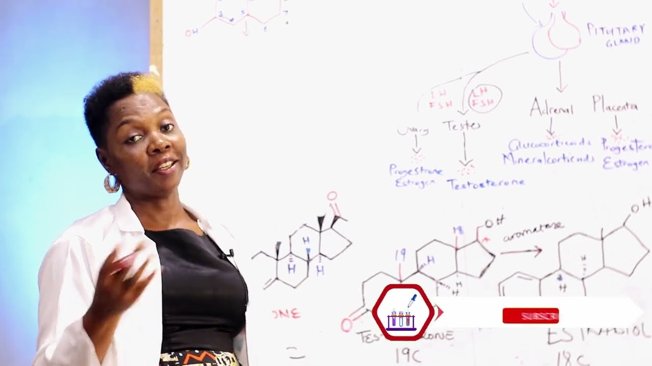 Cholesterol: The Parent Compound for Steroid Hormones | Dr. Eve Mboso |