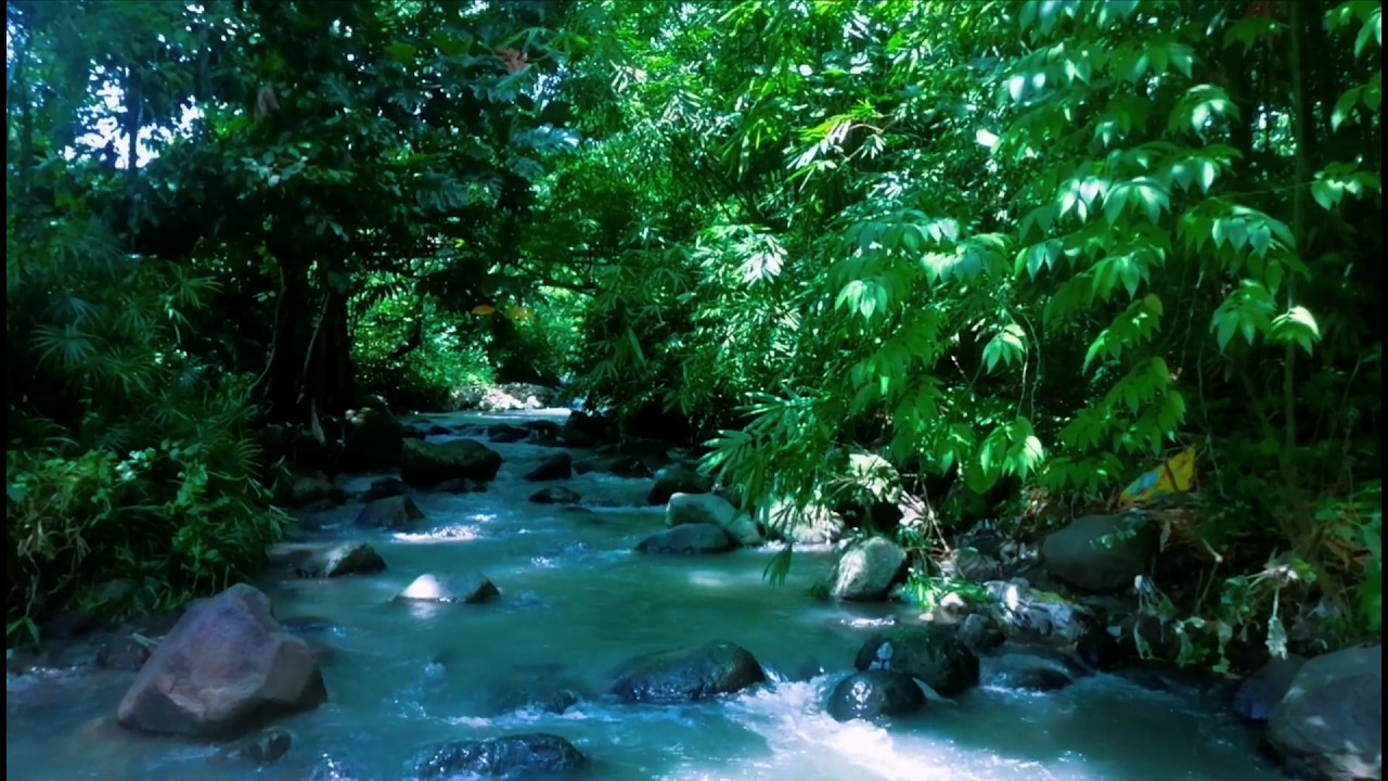 Beautiful Relaxing River  Nature Sounds Sleep Meditation Study Stress Relief Mindfulness