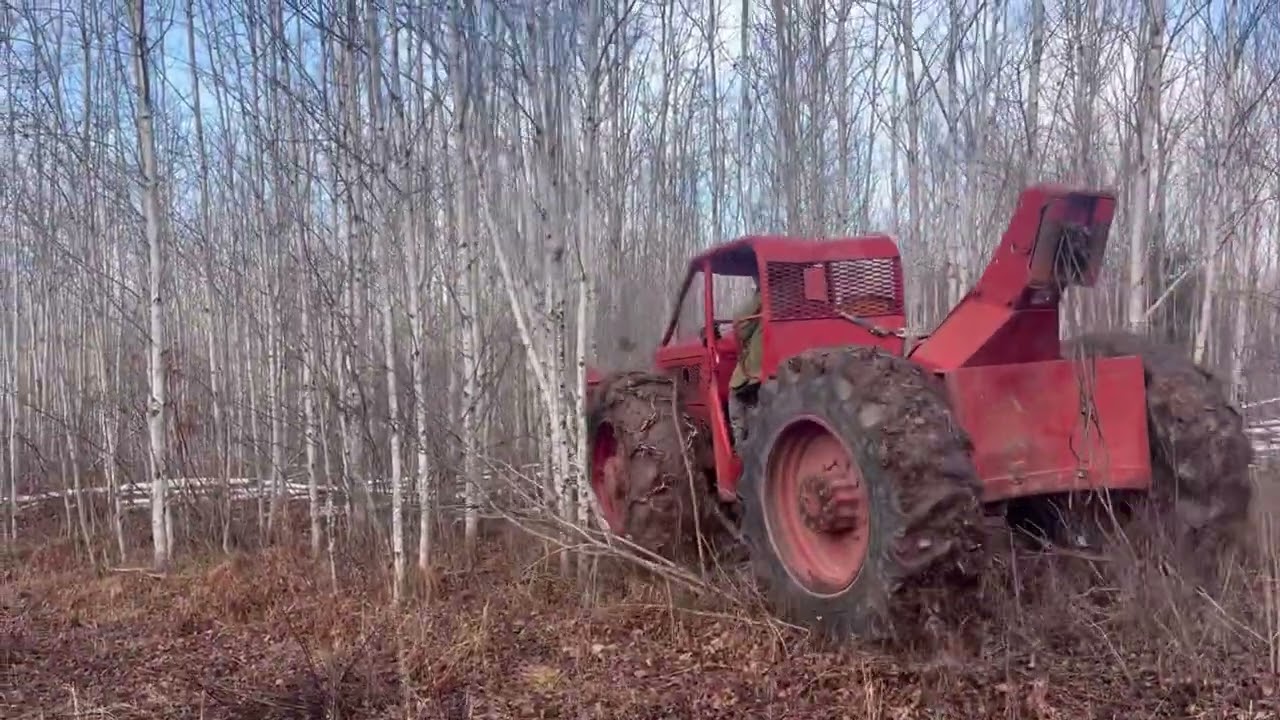 Old Timberjack 230