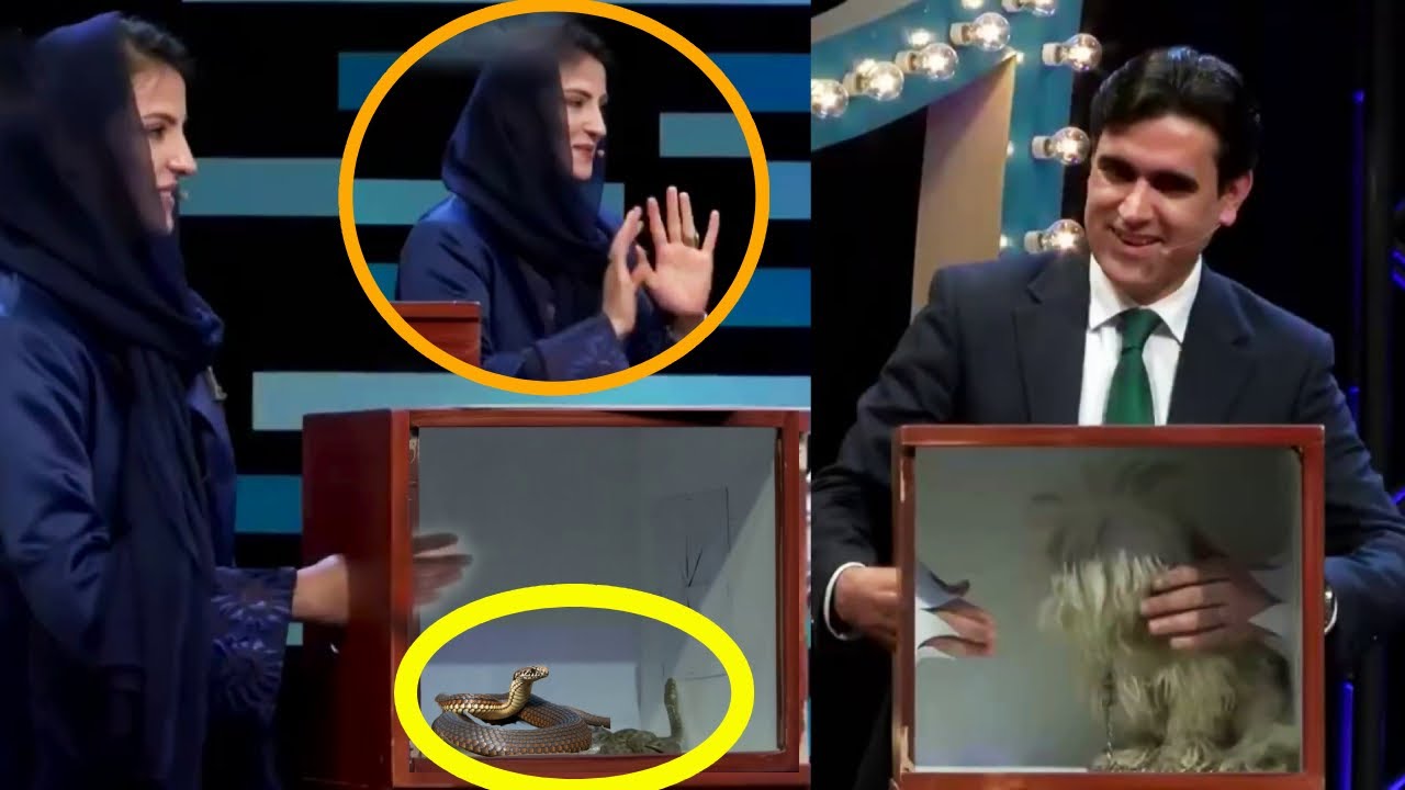 گیم جالب فرامرز تمنا و خانم اش آرزو نورستانی