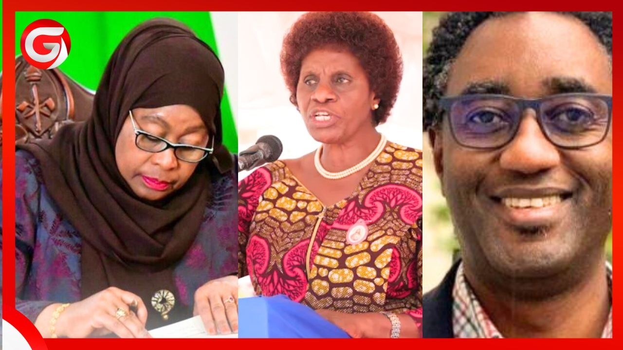 #BREAKING: RAIS SAMIA ATEUA TENA - ANNE MAKINDA - PROF MABOKO na WENGINE 3 KUWA WENYEVITI wa BODI...