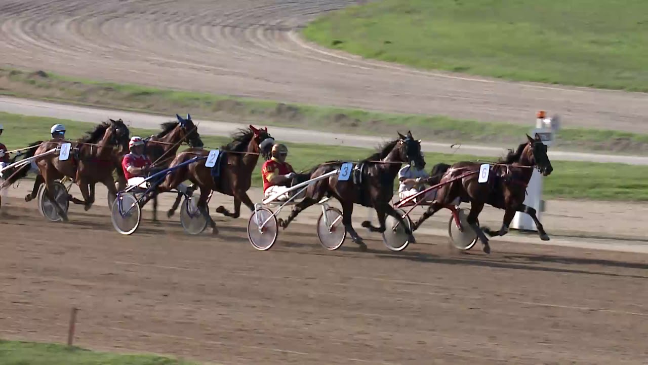 2019.06.29. 09. futam - 105. MAGYAR ÜGETŐDERBY (NÜL-III.)