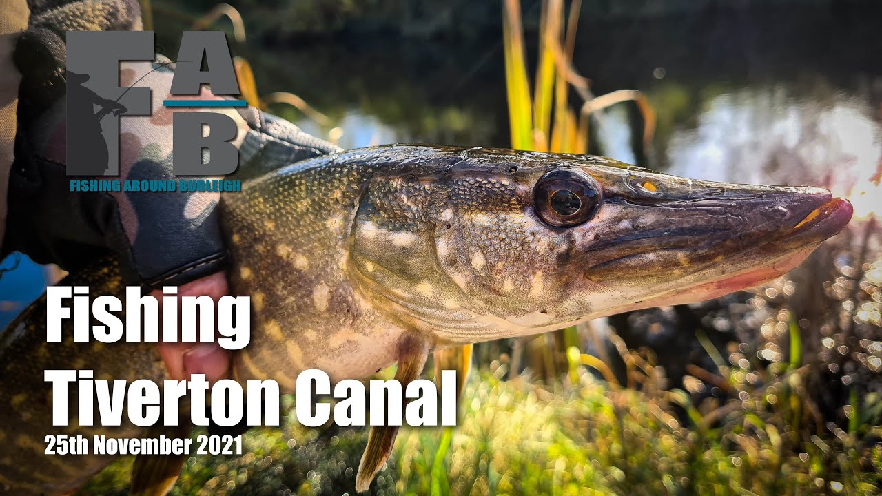Fishing Tiverton Canal - 25th November 2021