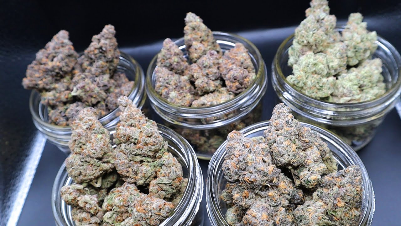 FINAL BUDS Zoap, Jungle Sunset, Red Pop, Pressure, Apples & Bananas!