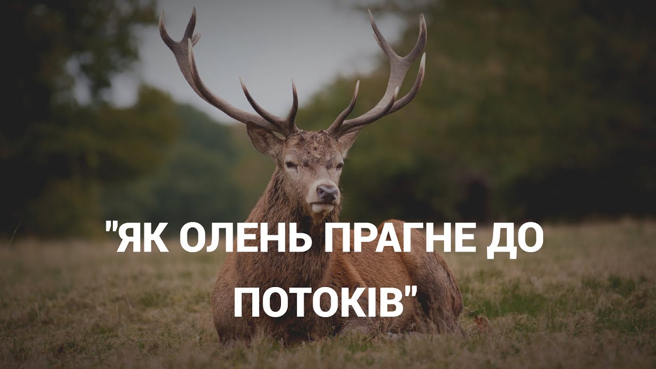 Як олень прагне до потоків (караоке)