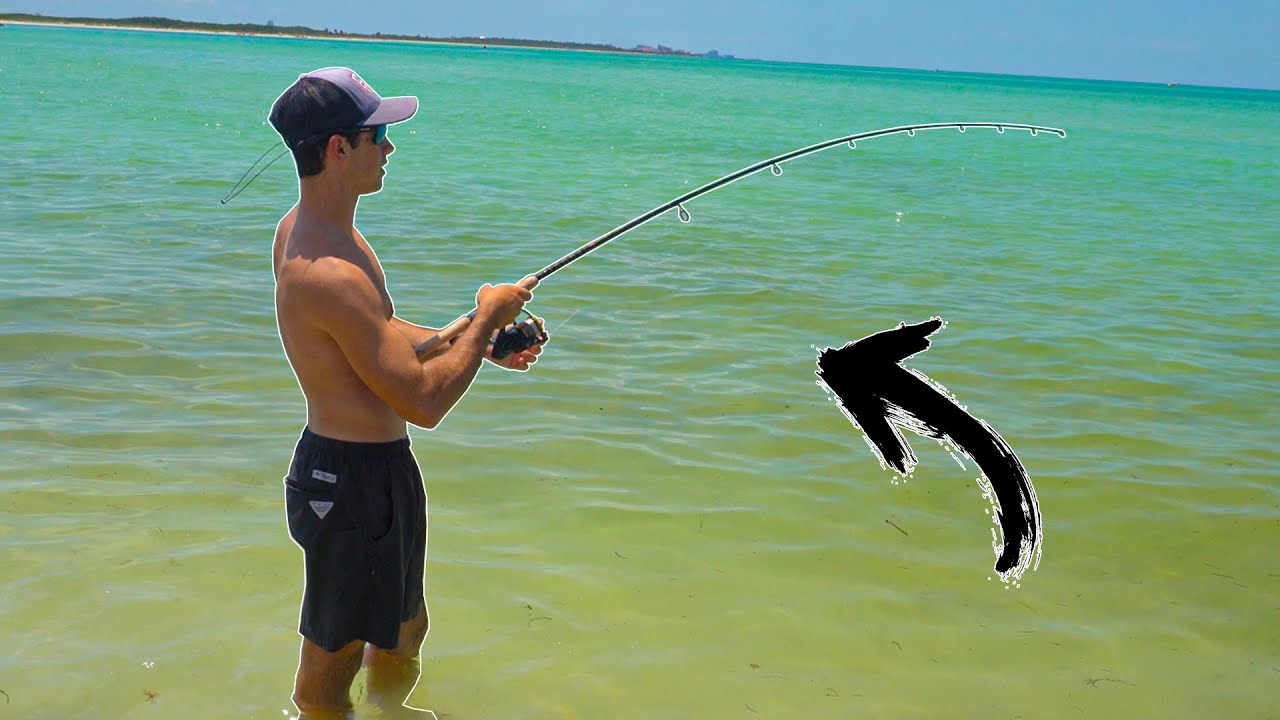 Unexpected BIG FISH off Public Beach! (Summertime Snook Fishing)