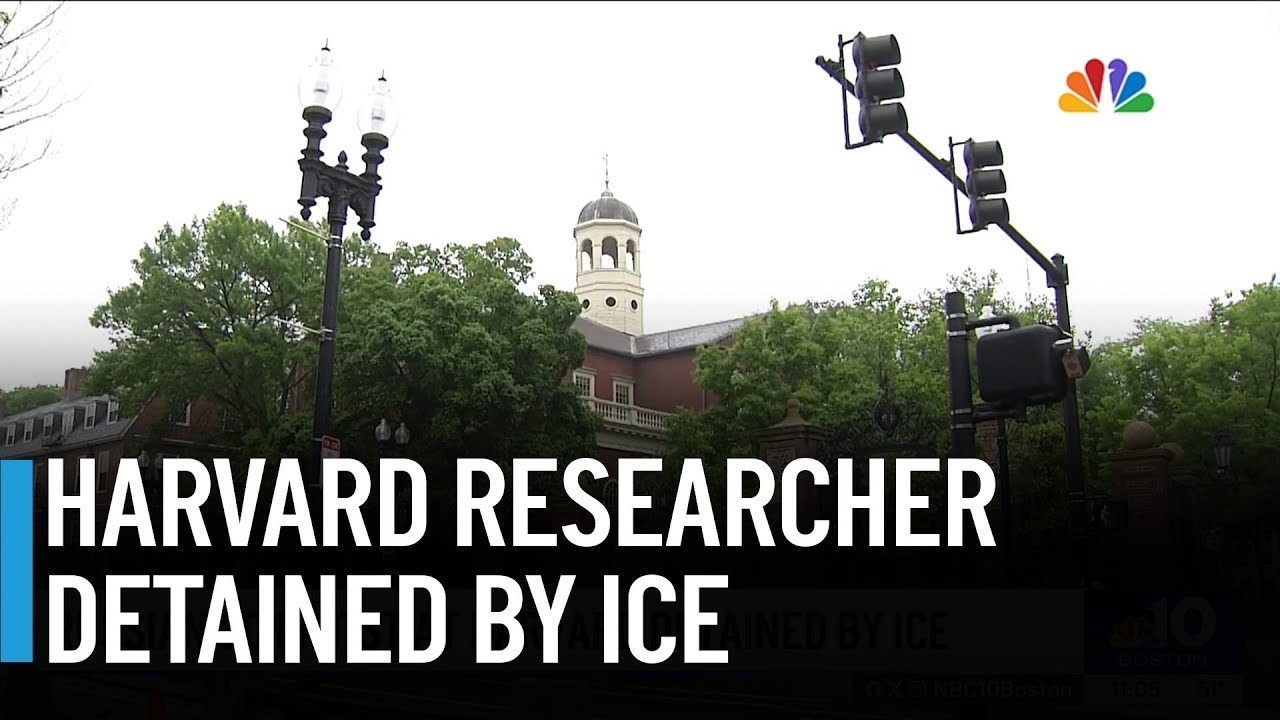 Russian scientist working at Harvard detained by ICE