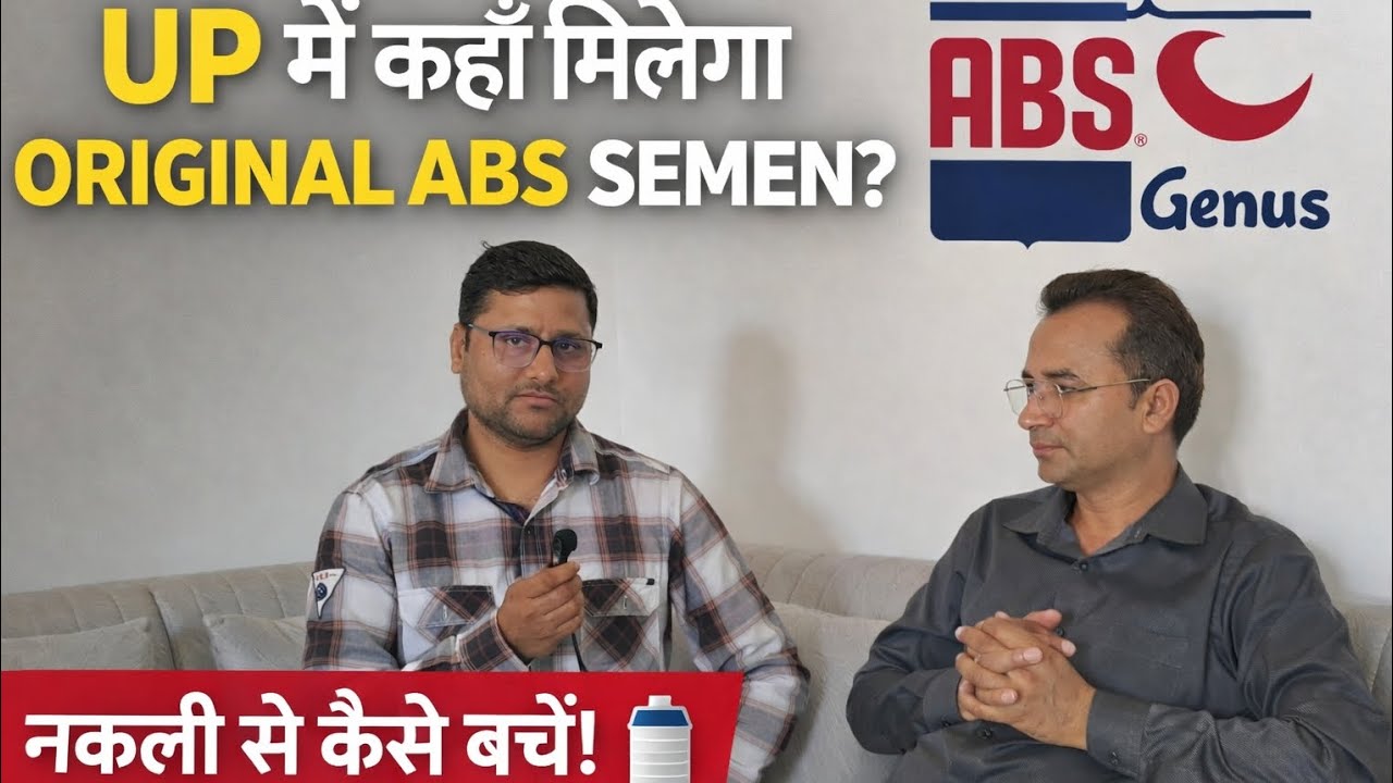 Poore Uttar Pradesh me semen Available || Original Semen || Chikara Dairy