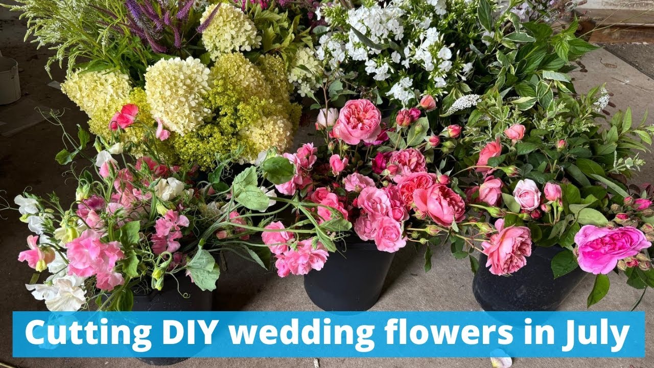 How your local flower farmer will cut your wedding flowers when you order from them x