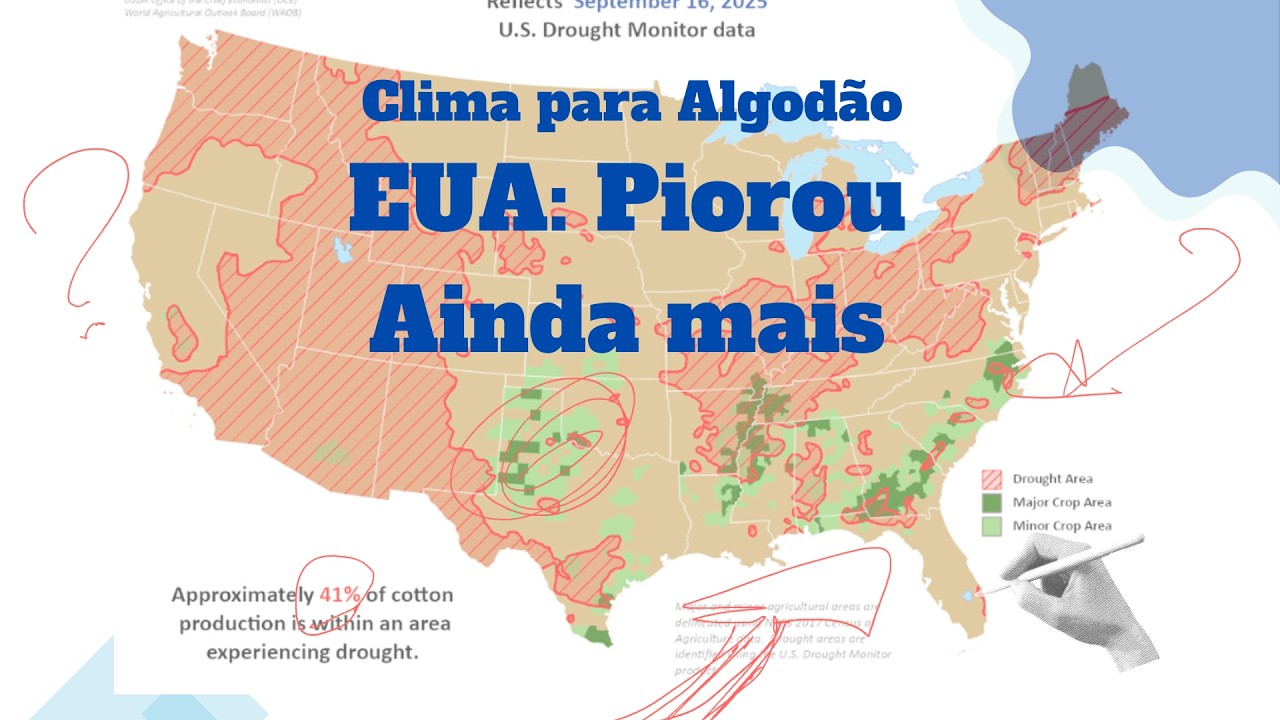 Clima nos EUA piora rápido – e pode mudar o mercado do algodão