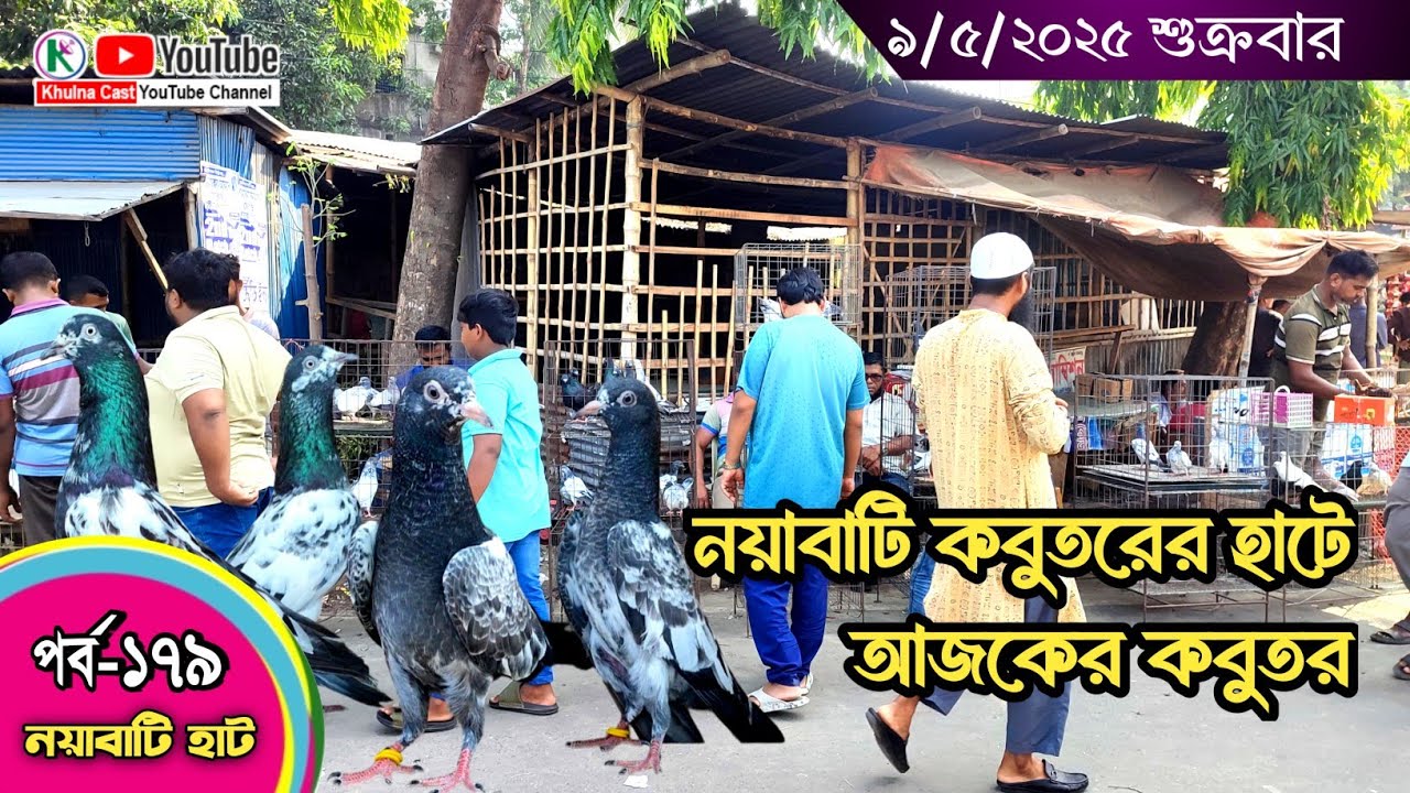 সবথেকে বড় কবুতরের হাট পর্ব-১৭৯ Largest pigeon market in Khulna খালিশপুর, নয়াবাটি, চিত্রালী, খুলনা