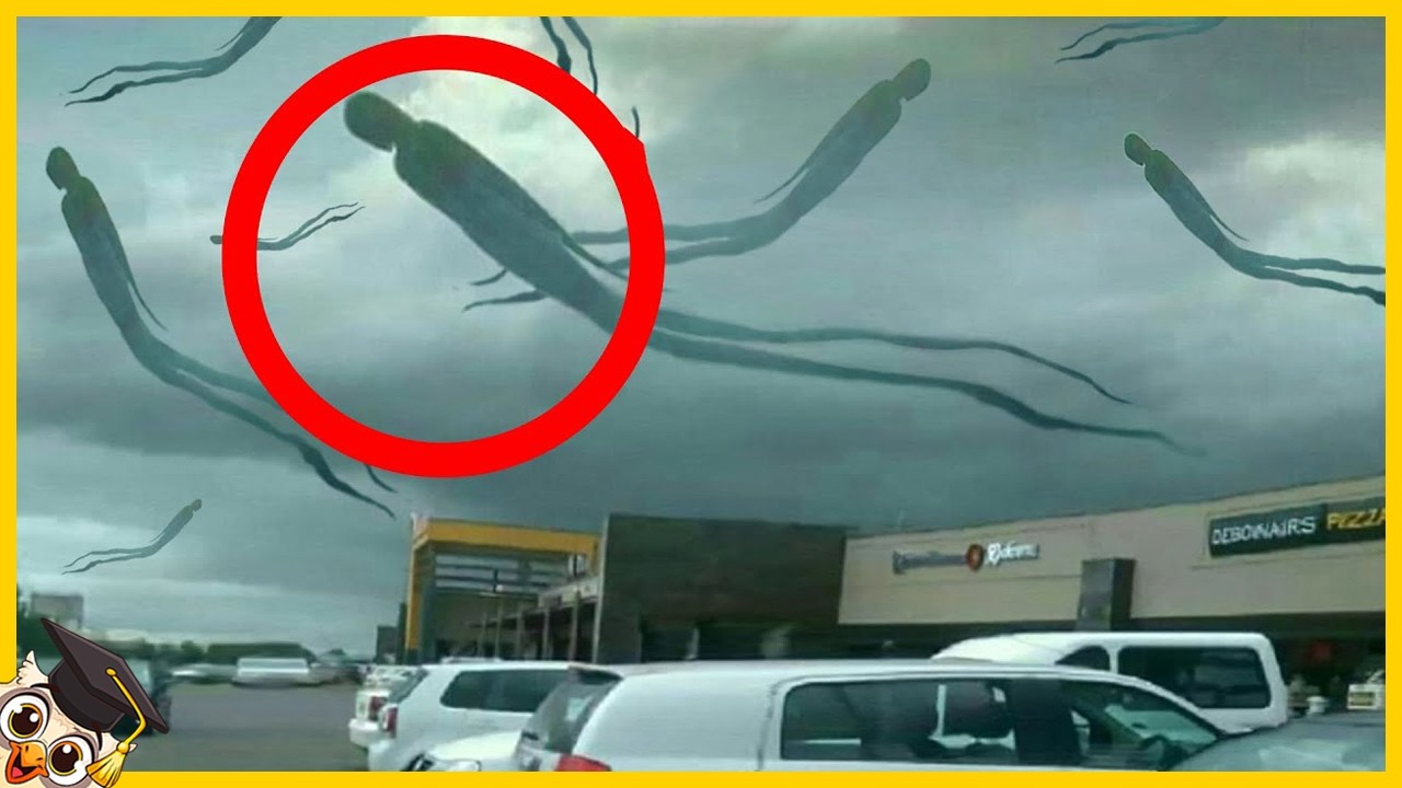 50 Fen&oacute;menos Inexplicables En El Cielo Capturados Por La C&aacute;mara