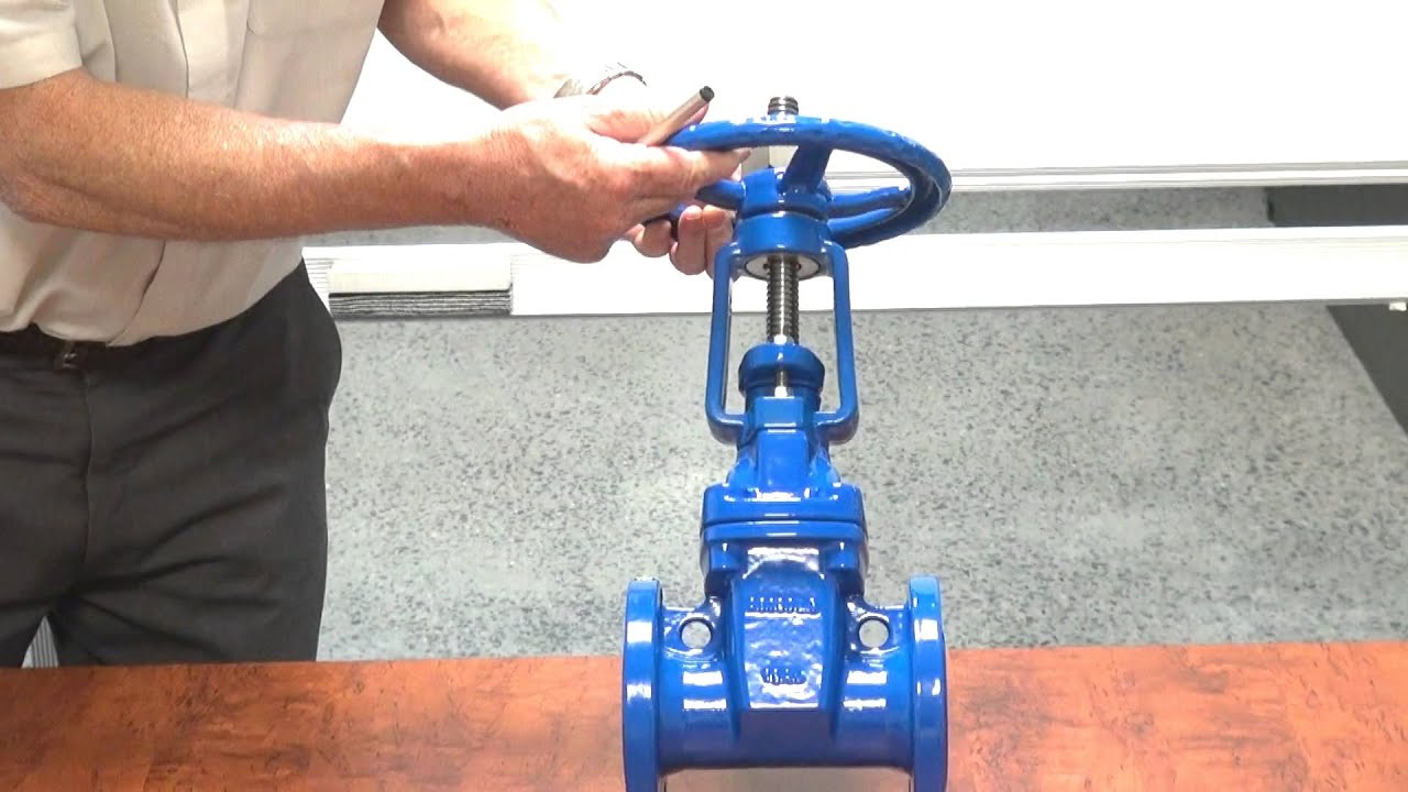 Rising Stem Resilient Seated Cast Iron Gate Valve