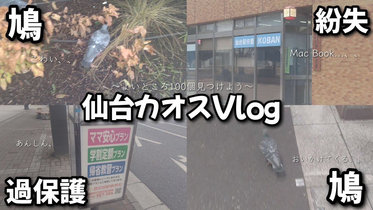 【仙台Vlog】21歳無職成人男性が仙台の良いところ100個見つけてみた！！