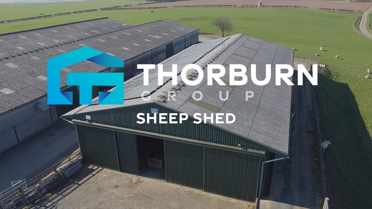 Sheep Shed Tour | Over 10 Years On – Still Going Strong | Thorburn Group