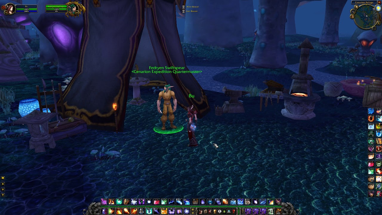 Cenarion War Hippogryph - From where to get, WoW TBC