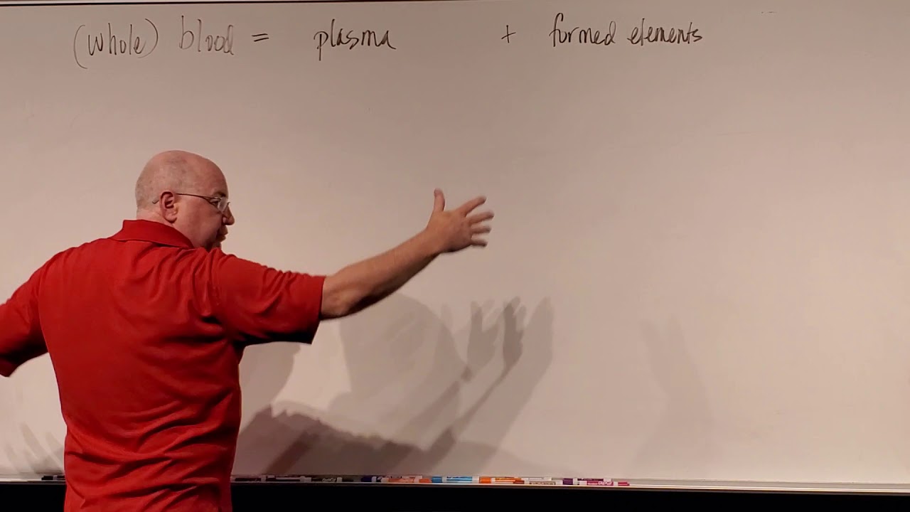 Профессор Лонг – Кровь, Лекция 2, Плазма и эритроциты