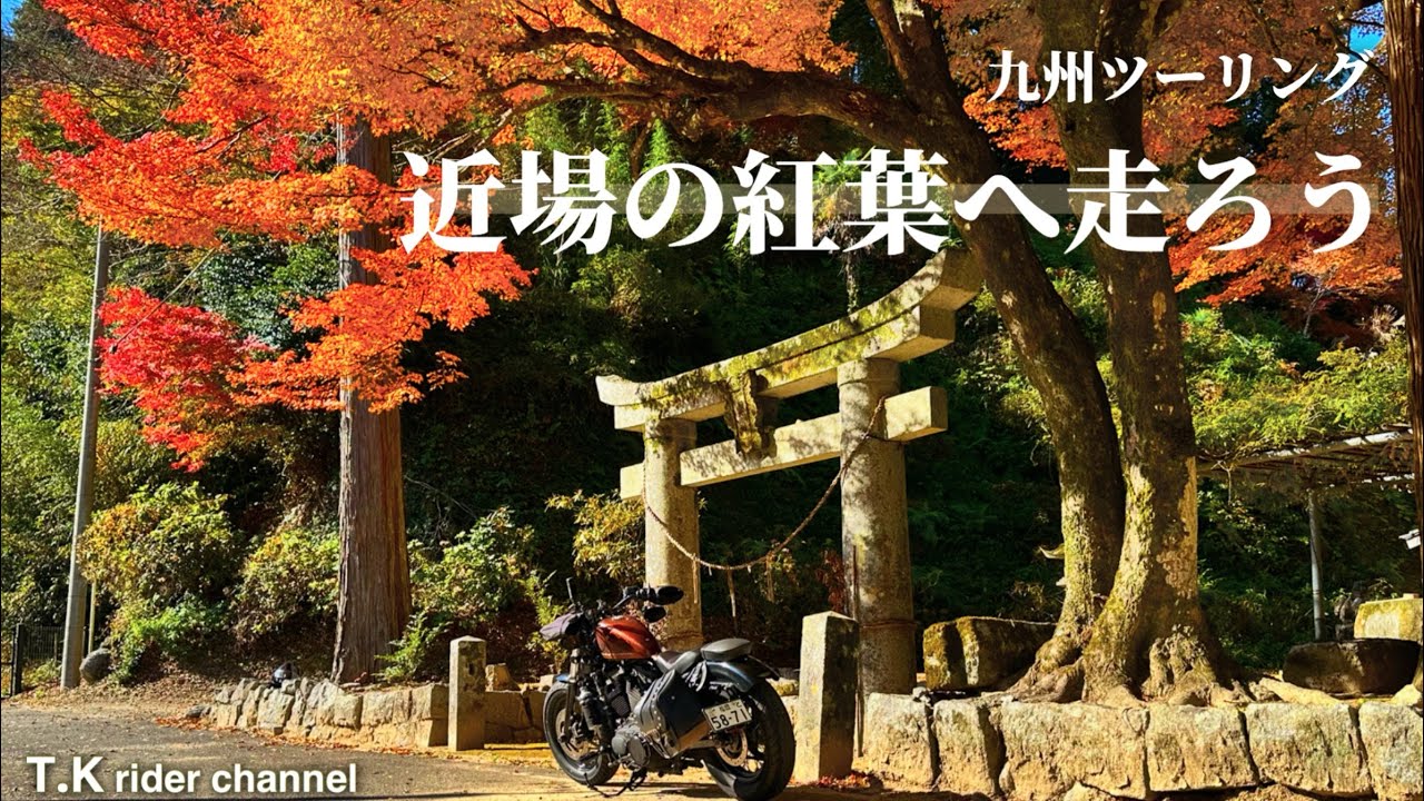 【紅葉ツーリング】今回は近場の紅葉を楽しみに走ります😊