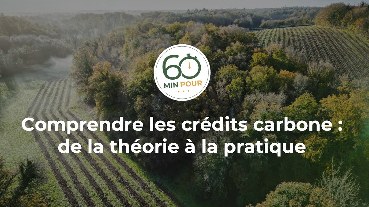 60 minutes pour comprendre les crédits carbone | EcoTree