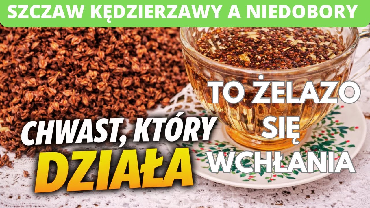 Сорняк, который работает. Железо усваивается. Щавель курчавый и вызывает дефицит питательных веще...