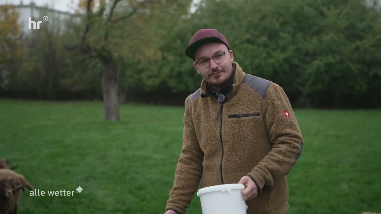 Projekt vom 07.11.25 