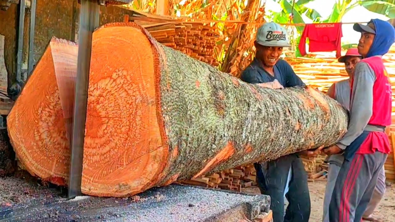 Rejeki Nomplok..!! Kayu Bayur Kualitas Super Dan Merah Merona.. Disawmil Jadi Balok 7x5