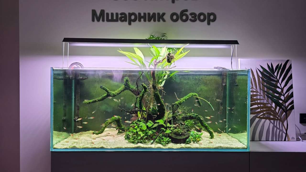 11 апреля 2025 г.