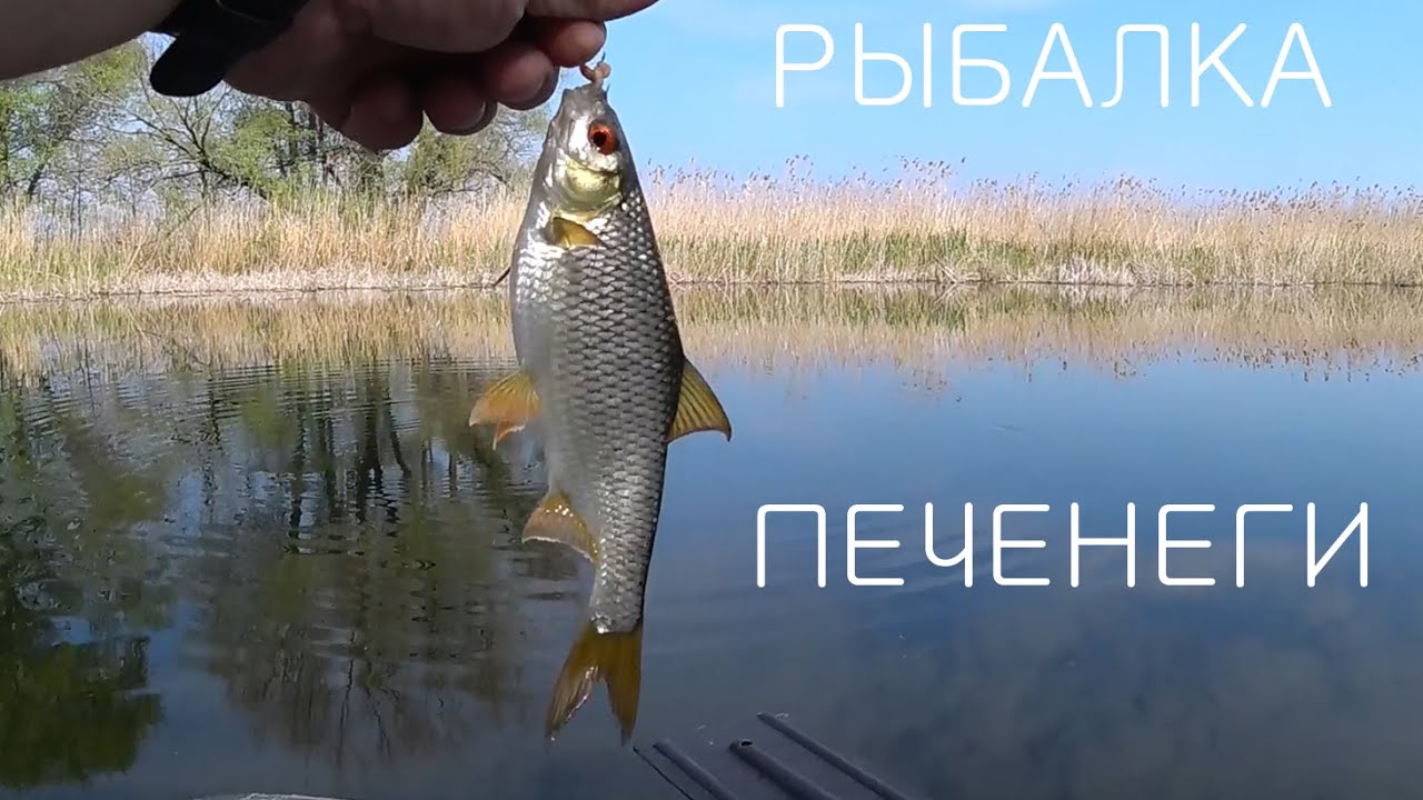 Рыбалка с лодки / Печенежское водохранилище