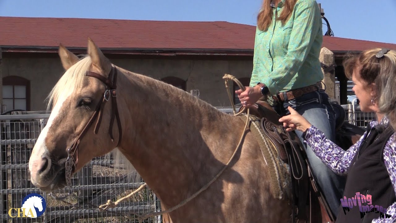 Western Rein Holds with Christy Landwehr