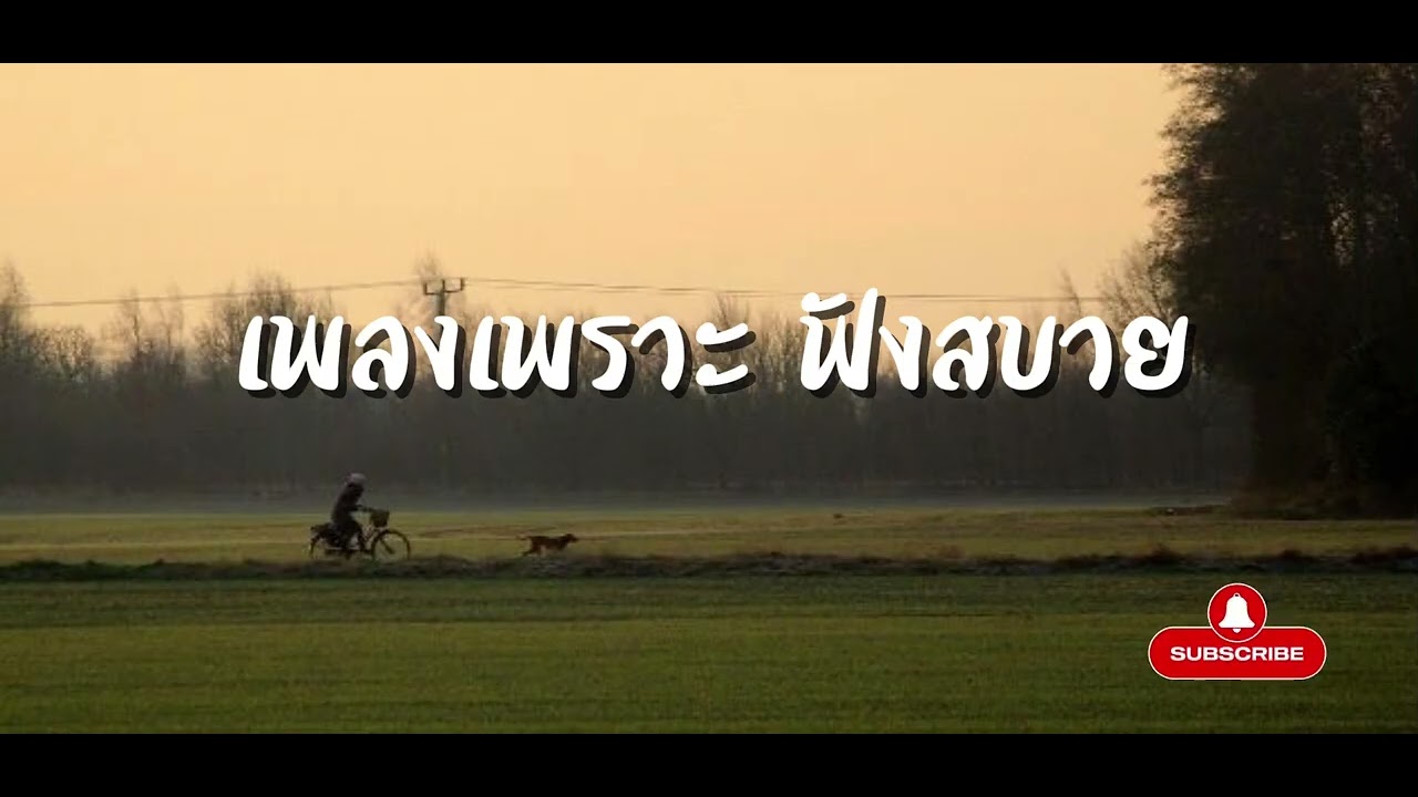 เพลงเพราะฟังสบาย🎧 