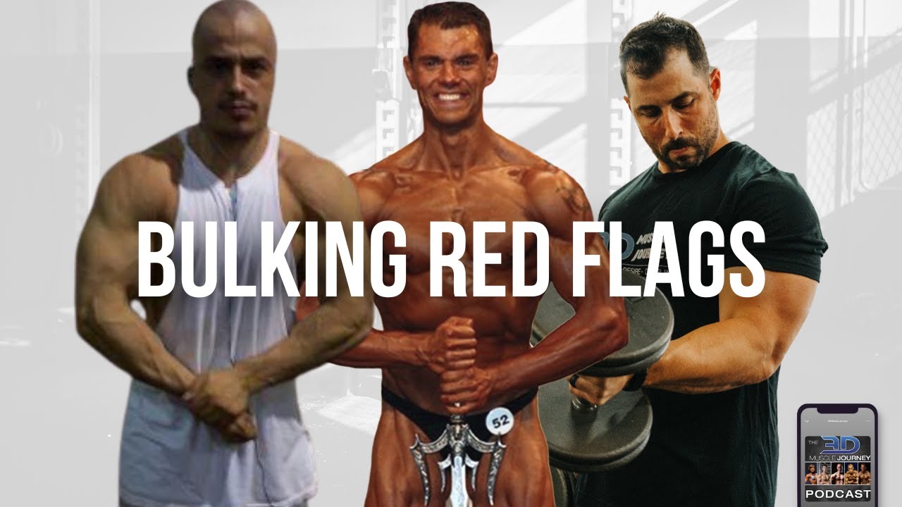 Red Flags During a Bulking Phase / Off-Season