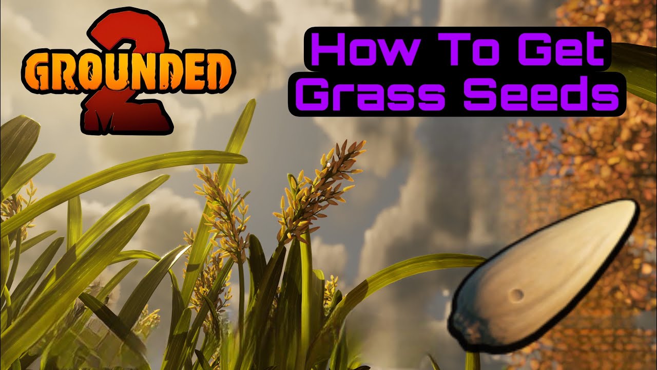 Grounded 2 - Where To Get Grass Seeds