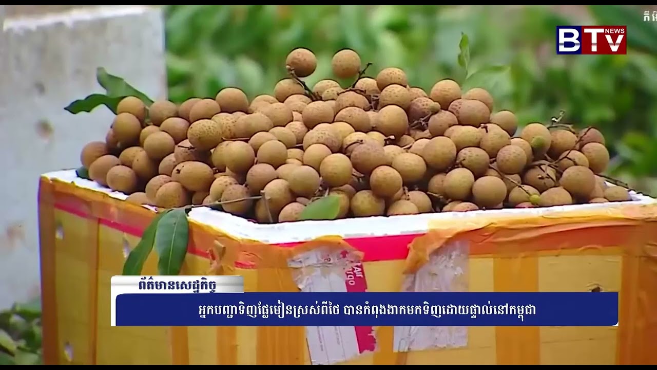 WATCH អ្នកបញ្ជាទិញផ្លែមៀនស្រស់ពីថៃ បានកំពុងងាកមកទិញដោយផ្ទាល់នៅកម្ពុជា