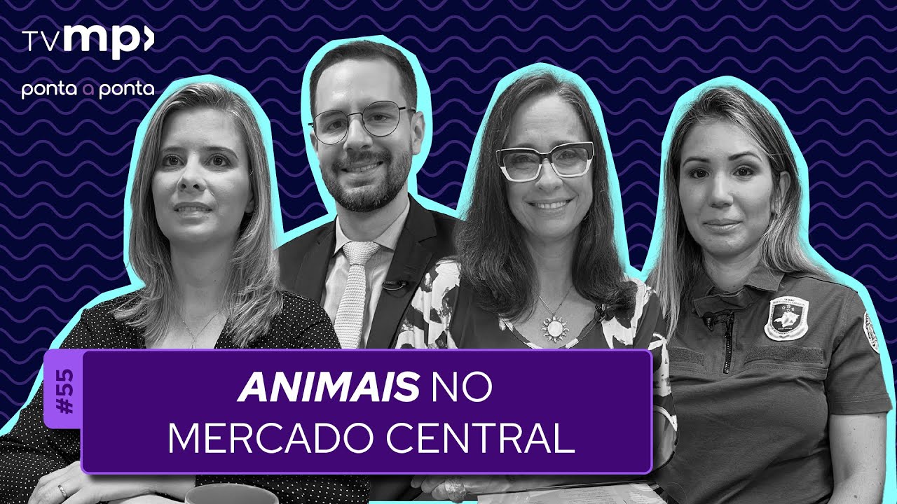 MPMG fiscaliza condições dos animais expostos e comercializados no Mercado Central de BH