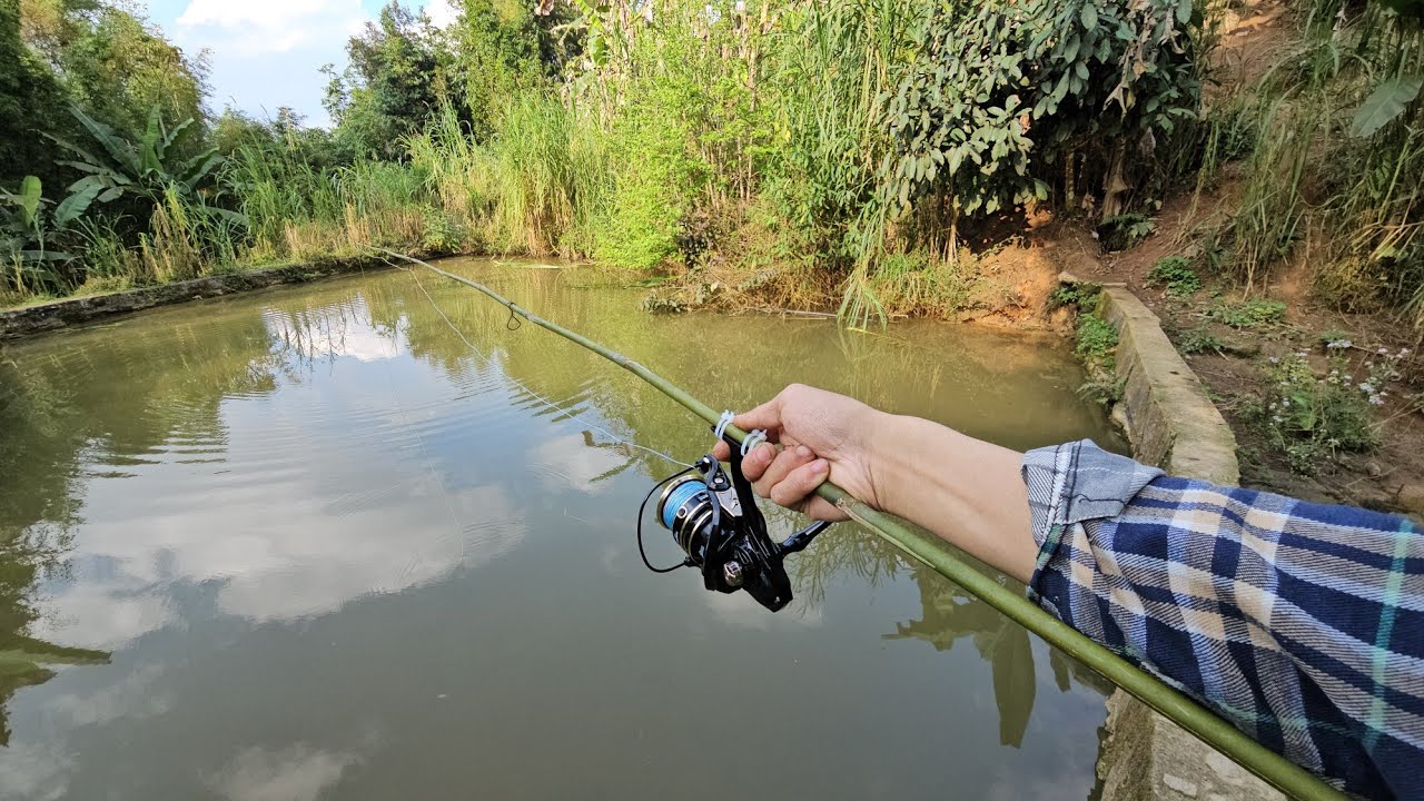 Thử làm câu lure bằng cây nứa