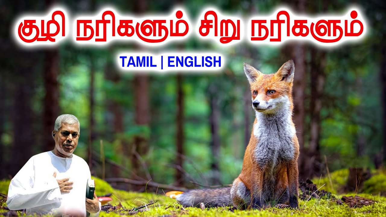 🔴TPM MESSAGE | குழி நரிகளும் சிறு நரிகளும் | Pas.Durai 
