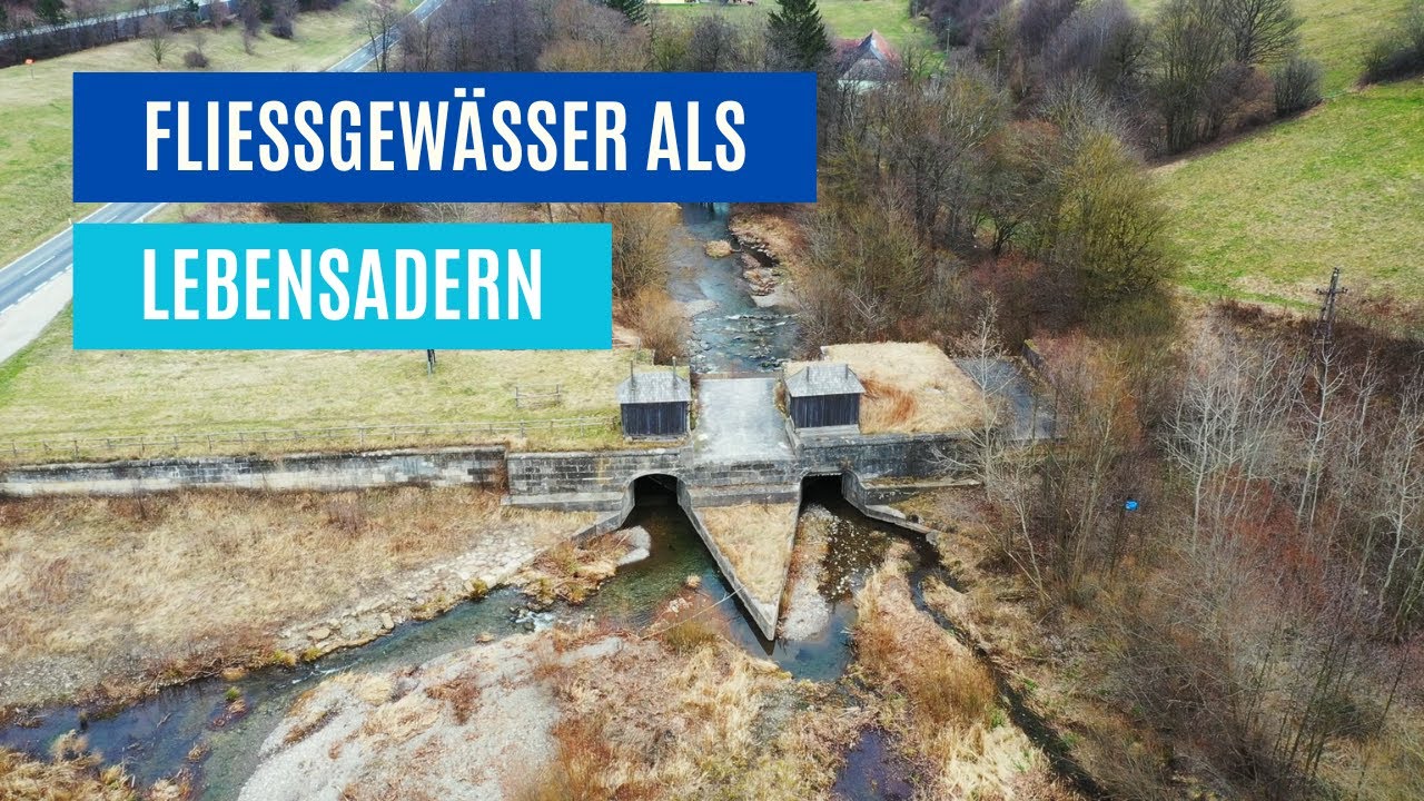 Fließgewässer als Lebensadern in Klausen Leopoldsdorf