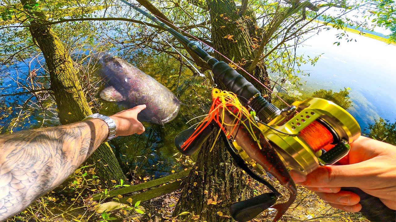 LES GÉANTS DE LOIRE se cachent sous cet arbre !  (Pêche au leurre)
