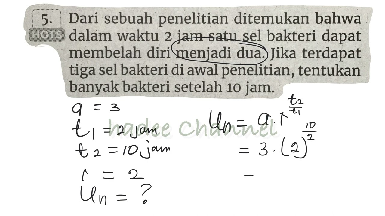 Dari sebuah penelitian ditemukan bahwa dalam waktu 2 jam,satu sel bakteri dapat membelah diri
