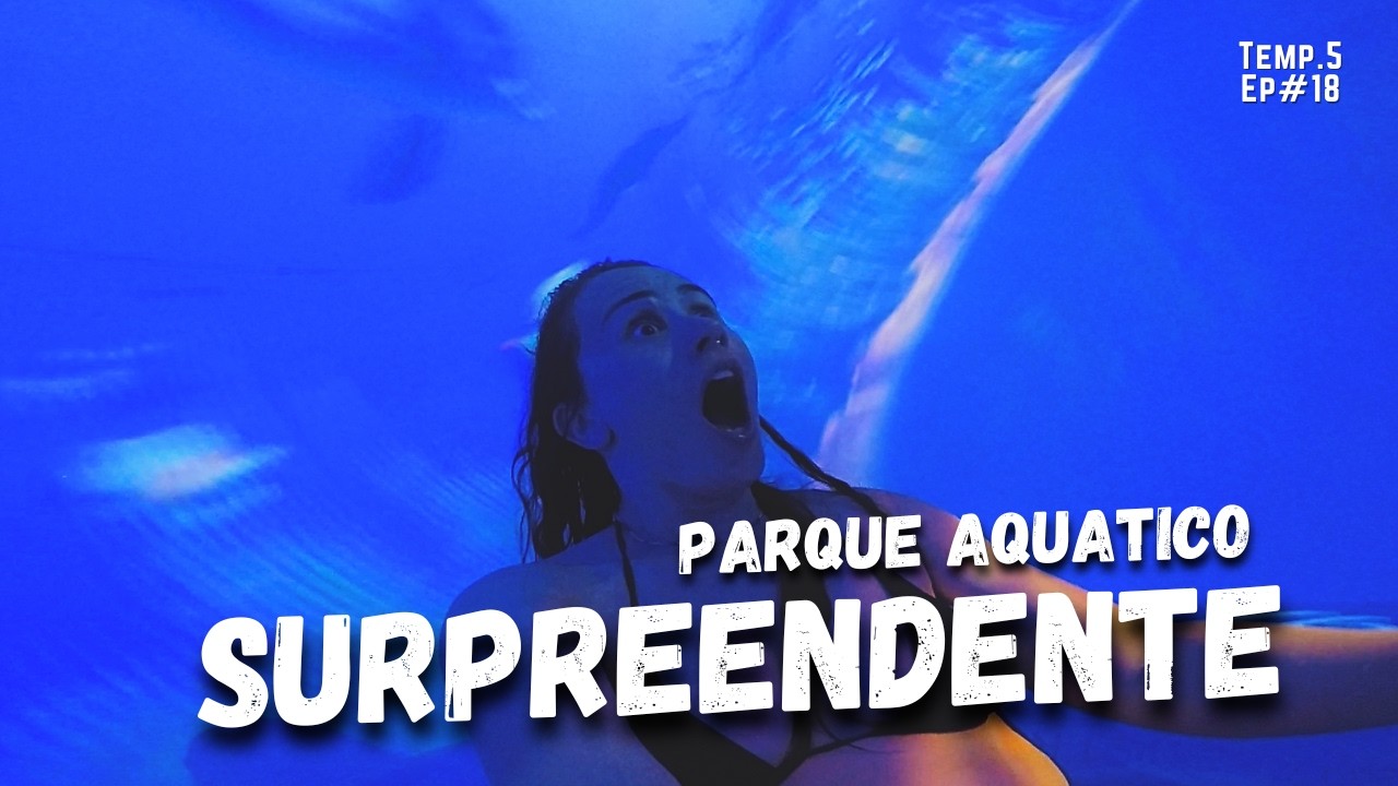 Os Toboáguas Mais Insanos de Orlando – Tem até Golfinhos! Aquatica Orlando