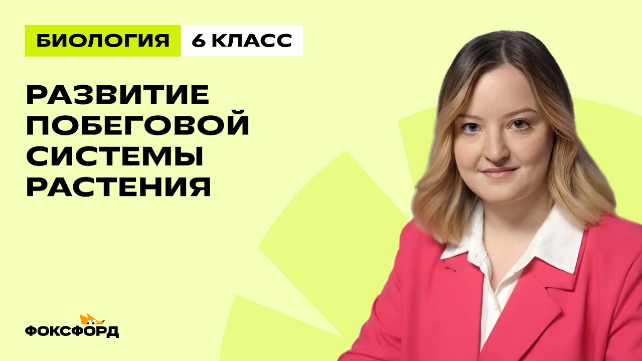 Развитие побеговой системы растения | Биология 6 класс | Домашняя школа Фоксфорда