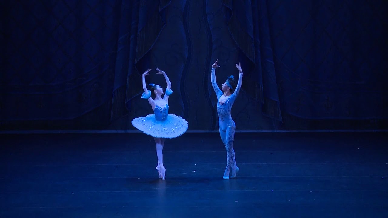 [2019 Rising Stars] Princess Florine and the Blue Bird Pas de Deux from Sleeping Beauty