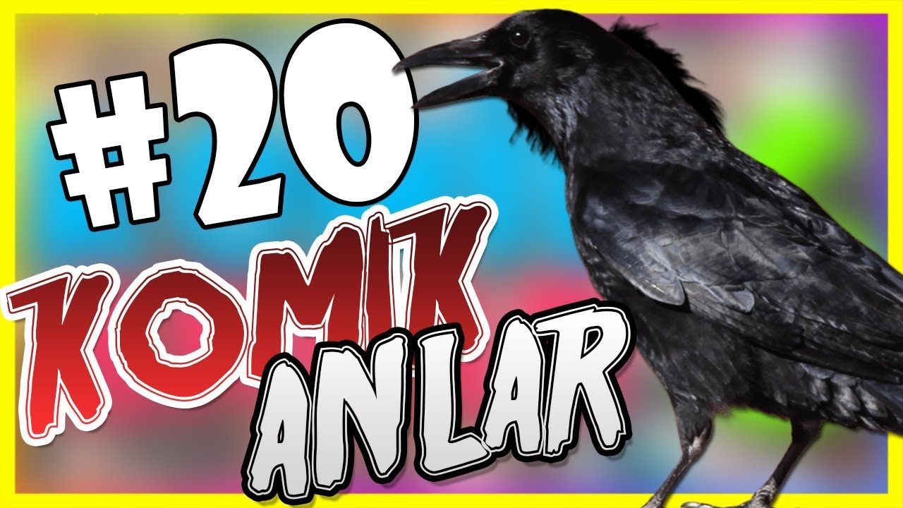 UĞURSUZ KARGA | KOMİK ANLAR [ FUNNY MOMENTS ] #20