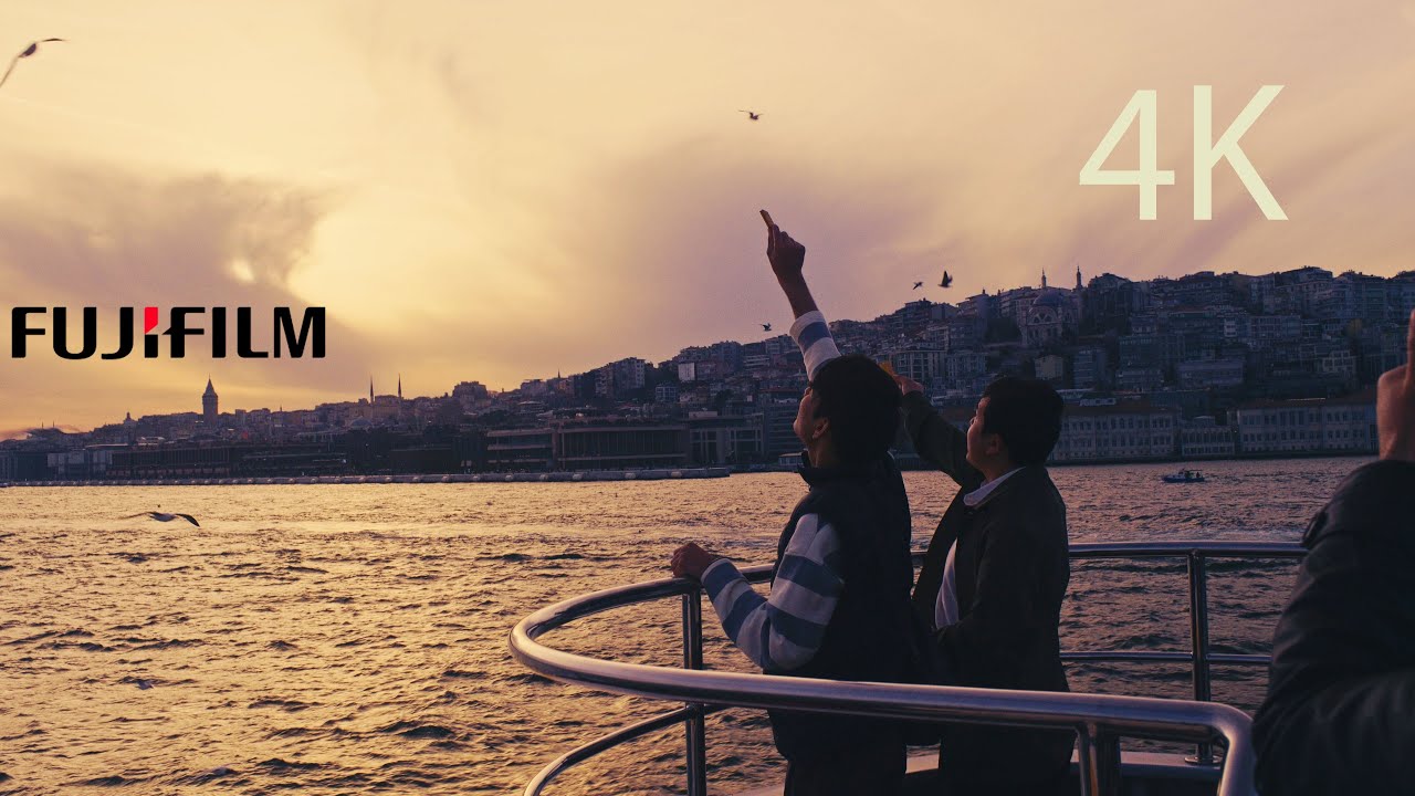 Seagulls of Istanbul 4k