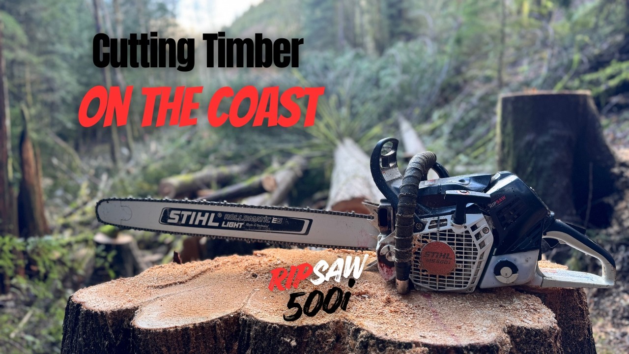 Cutting Timber On The Coast- RIPSAW 500i