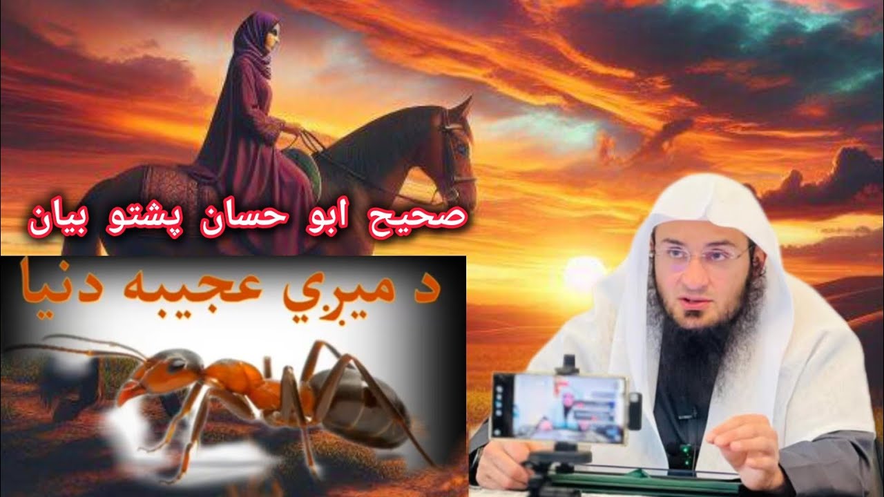 صحيح ابو حسان پشتو بیان د ميري عجيبه دنيا sheh abu hassan pashto bayan